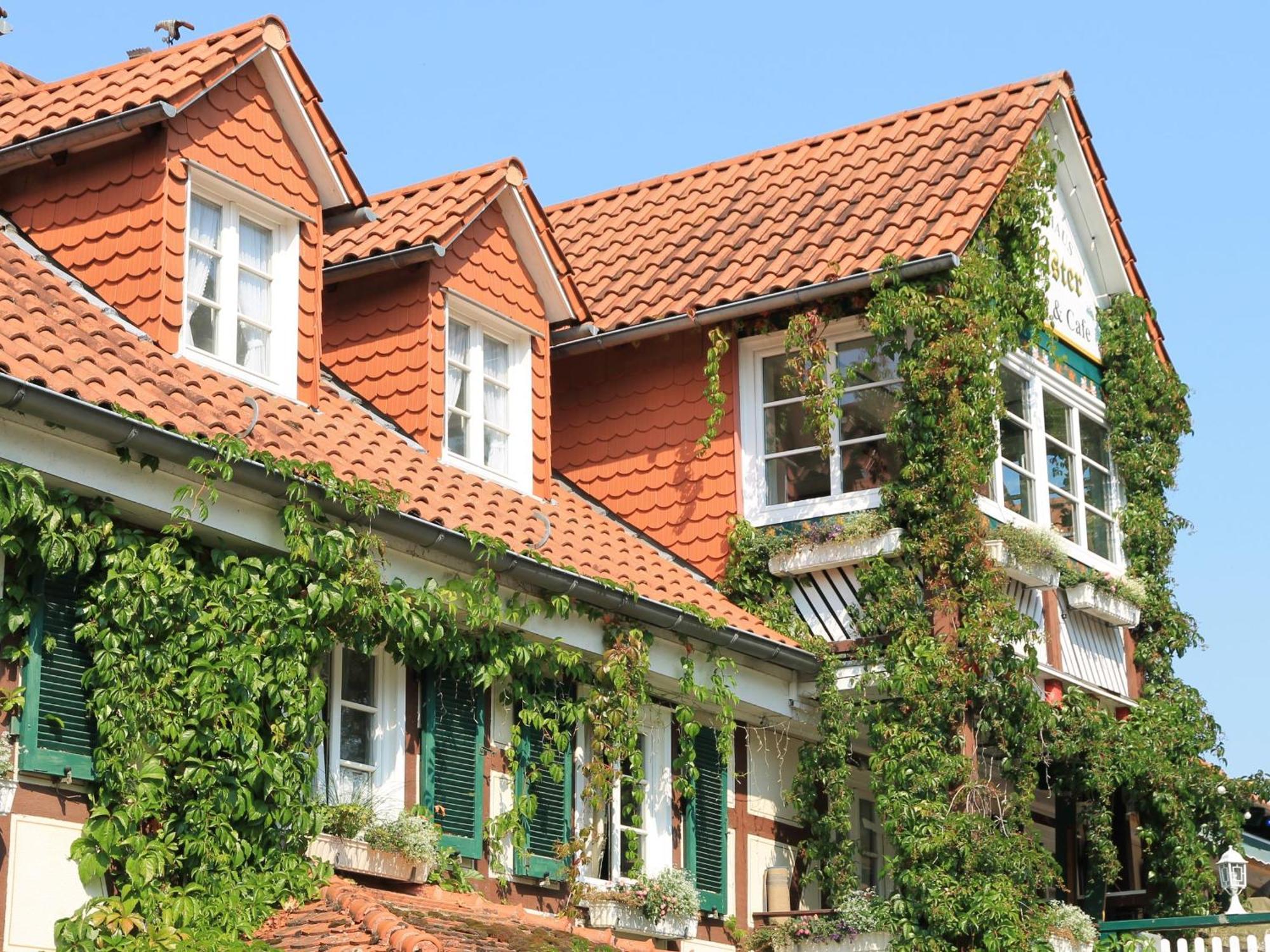 Landgasthof & Landhaus Hofmeister Diemelsee Экстерьер фото
